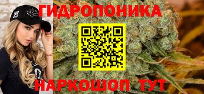амф Будённовск
