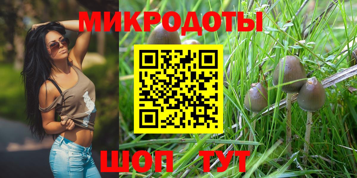 Галлюциногенные грибы мицелий Усть-Лабинск